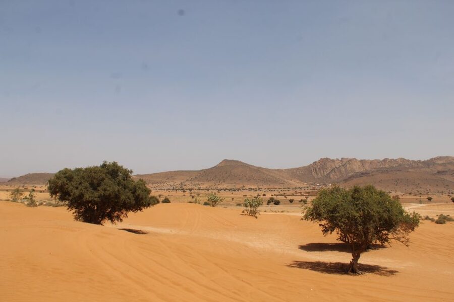 From Agadir: 4×4 Sahara Desert Safari with Lunch and Pickup - Tiznit’s old medina for silver jewelry and quick browsing
