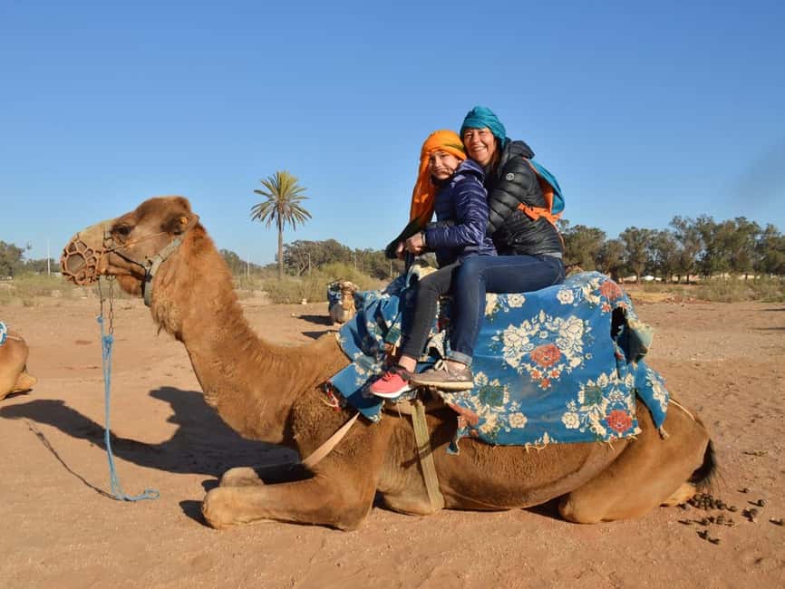 From Agadir: Camel Ride and Flamingo Trek - Key Points You Should Know Before You Go