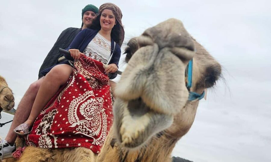 From Agadir: Camel Ride and Flamingo Trek - Camel Ride Through the Souss River and Flamingo Country