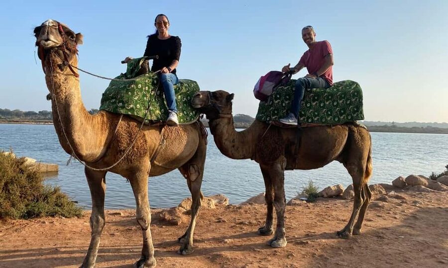 From Agadir: Camel Ride and Flamingo Trek - Photos, Video, and Why Cash Matters
