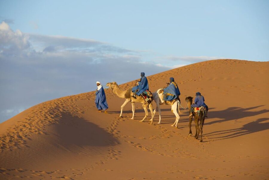 From Agadir: Camel Ride and Flamingo Trek - Mint Tea, Biscuits, and Quick Clean Up After the Ride