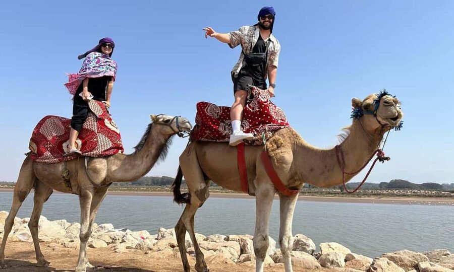 From Agadir: Camel Ride and Flamingo Trek - Price and Value: What $19 Buys You (and What It Does Not)