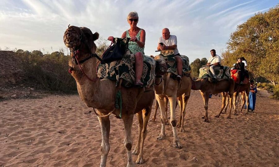 From Agadir: Camel Ride and Flamingo Trek - Hotel Pickup and the Two-Hour Sunset Rhythm