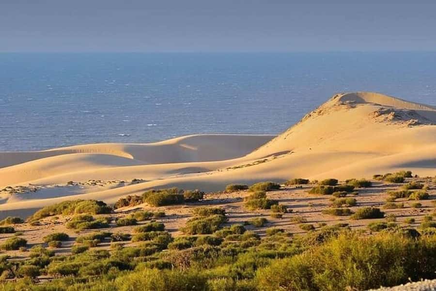 From Agadir: Jeep Desert Safari with Lunch and Camel Ride - Tiznit’s Walled Ramparts and Silver Medina Walk