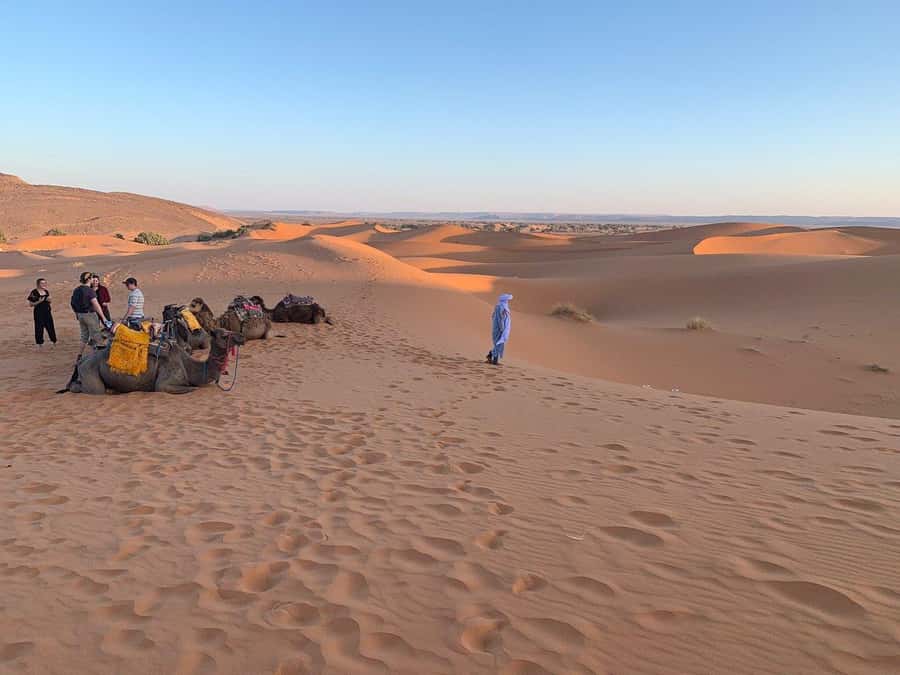 From Agadir: Jeep Desert Safari with Lunch and Camel Ride - The Berber House Lunch: Why This Is the Value Core