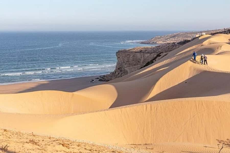 From Agadir: Jeep Desert Safari with Lunch and Camel Ride - Who This Tour Is Best For (And Who Should Reconsider)
