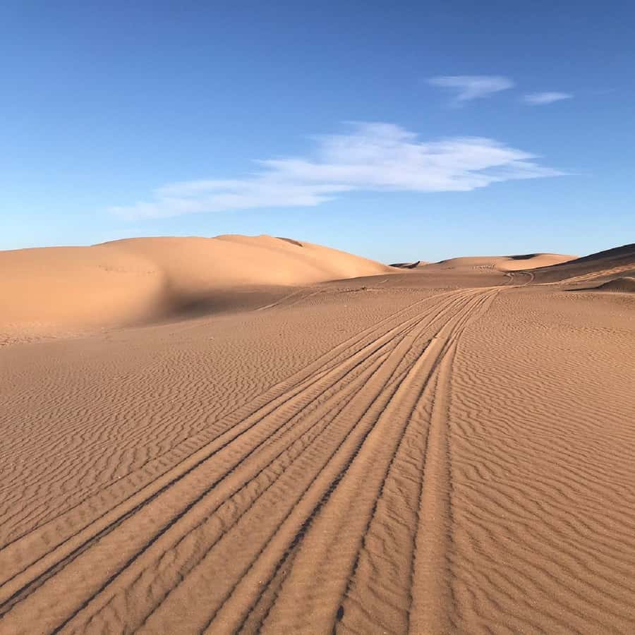 From Agadir: Jeep Desert Safari with Lunch and Camel Ride - Fishermen’s Caves and Sidi Rbat: Quiet Coastal Stops That Add Texture