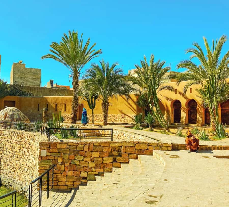 From Agadir: Legzira Beach & Tiznit Day Trip with Lunch - Price and value for $68: what you get for the money