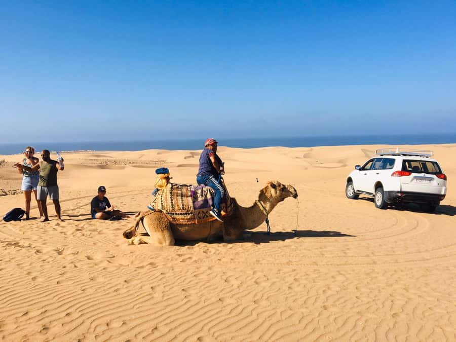 From Agadir: Mini Sahara Day Tour with Lunch - Souss Massa River birds, then Tiznit’s old walled medina