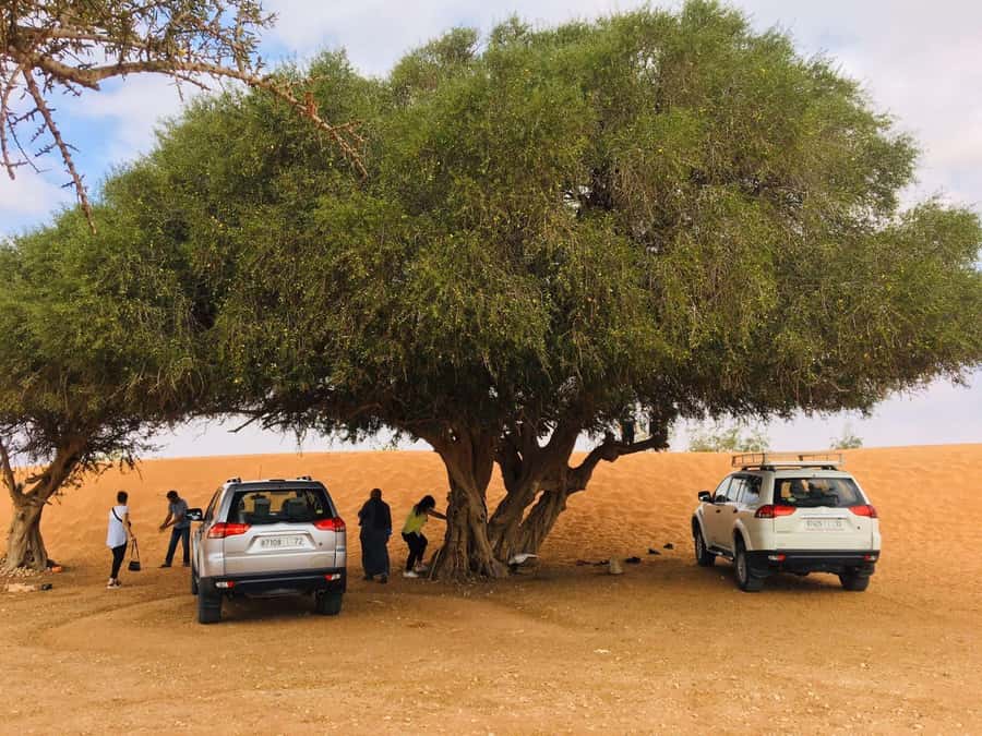 From Agadir: Mini Sahara Day Tour with Lunch - Small Sahara of Rsmouka, plus the optional camel ride