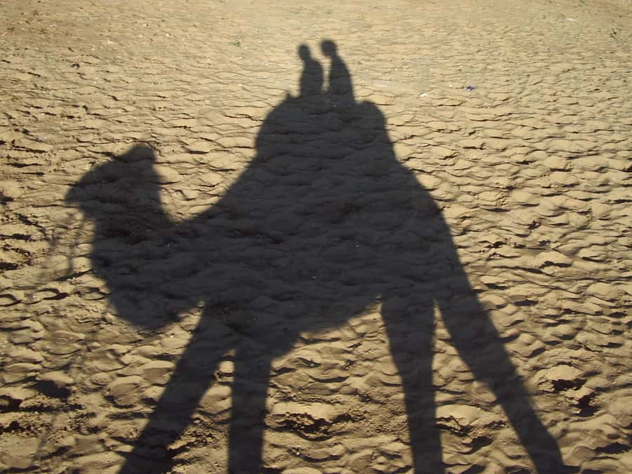 From Agadir or Taghazout: Camel Ride Berber Tour Experience - Final call: should you book this camel ride from Agadir or Taghazout?