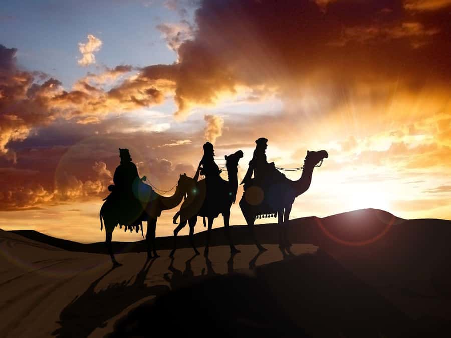 From Agadir or Taghazout: Camel Ride Berber Tour Experience - Camel rides on the Souss River, the real Morocco vibe