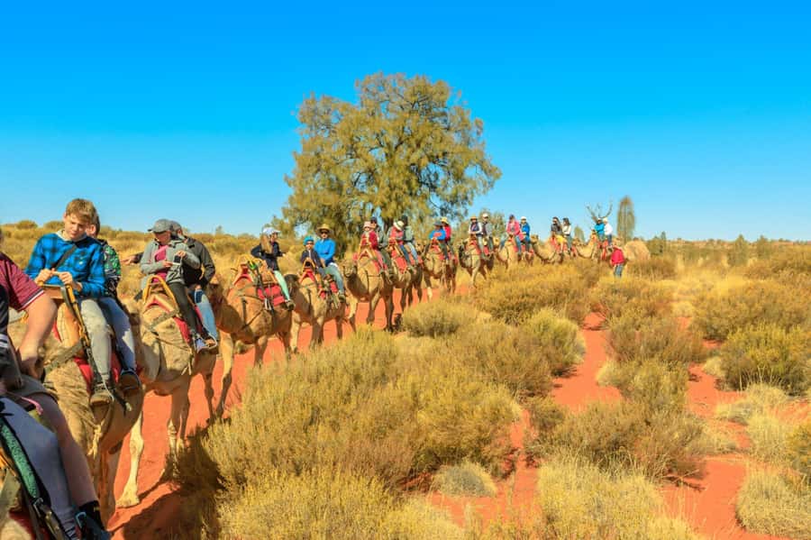 From Agadir or Taghazout: Camel Ride Berber Tour Experience - The camel ride itself: easy handling, steady pace, good photo help