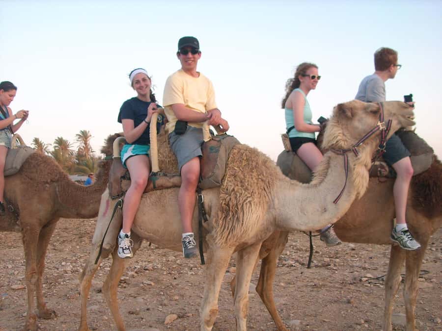 From Agadir or Taghazout: Camel Ride Berber Tour Experience - Where the birds show up, and why distance matters