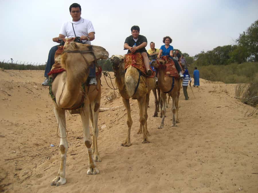 From Agadir or Taghazout: Camel Ride Berber Tour Experience - Tea, biscuits, and the barbecue upgrade