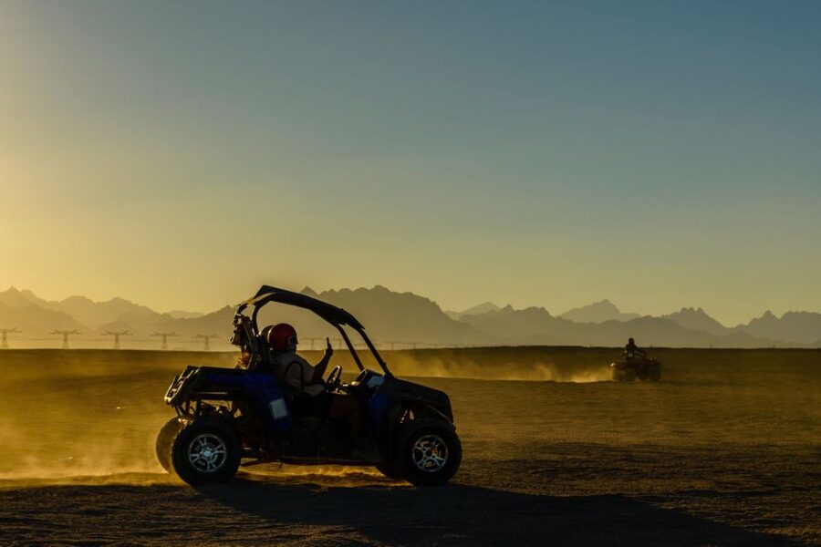 From Agadir or Taghazout: Desert Dunes Buggy Tour - Argan forest stop: why it’s more than a photo break
