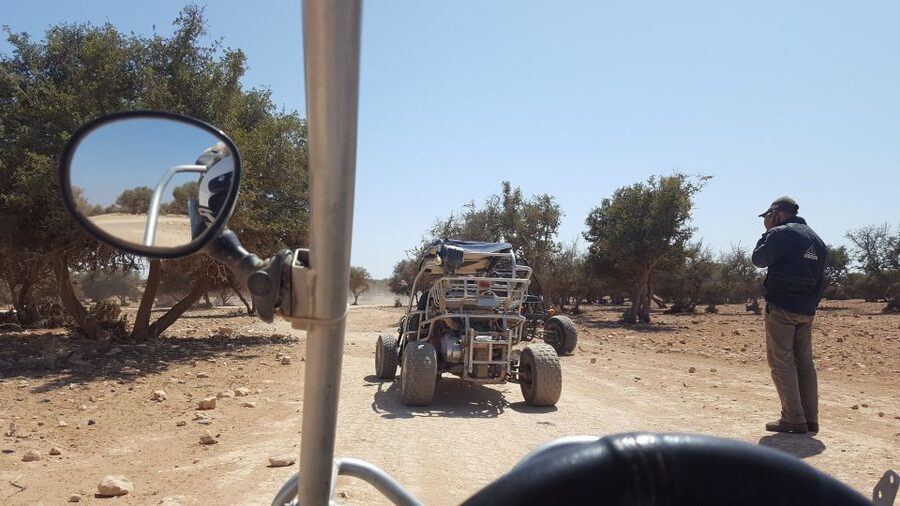 From Agadir or Taghazout: Desert Dunes Buggy Tour - The dunes section: adrenaline, but with rules
