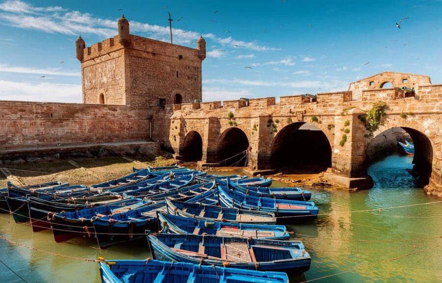 From Agadir or Taghazout: Essaouira Day Trip with Transfer - Key Things That Make This Trip Worth It