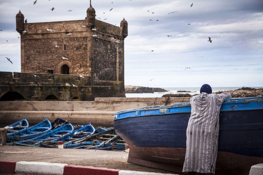 From Agadir or Taghazout: Essaouira Day Trip with Transfer - Tips to Make the Most of the Day Without Feeling Frazzled