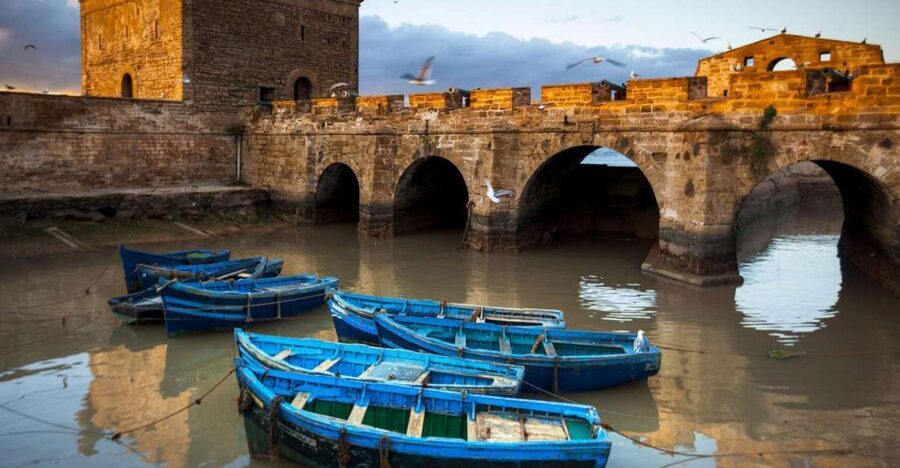From Agadir or Taghazout: Essaouira Day Trip with Transfer - The UNESCO Media Visit: Marquetry inlayers and Cabinetmakers at Work