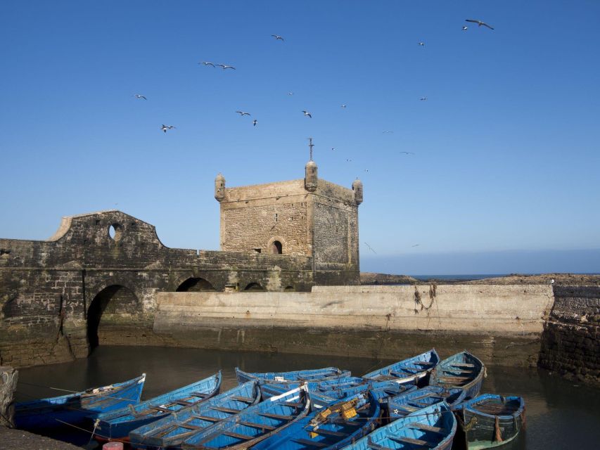From Agadir or Taghazout: Essaouira Day Trip with Transfer - The Women’s Argan Oil Cooperative Stop: A Practical Culture Moment