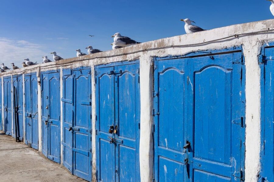 From Agadir or Taghazout: Essaouira Day Trip with Transfer - Medina Alleyways and the 10 km Beach Stroll (How to Not Feel Rushed)