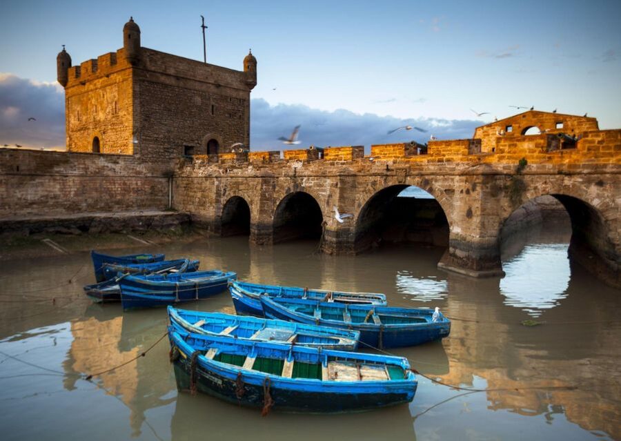 From Agadir or Taghazout: Essaouira Day Trip with Transfer - Guides and Drivers: The Small Touches That Make a Difference
