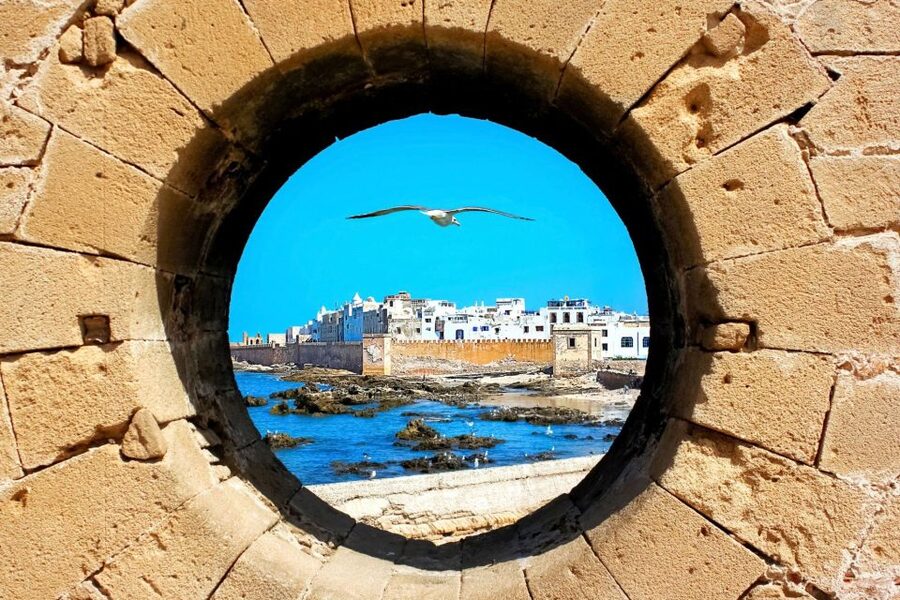 From Agadir or Taghazout: Essaouira Day Trip with Transfer - Who Should Book This Day Trip (And Who Might Prefer Something Else)