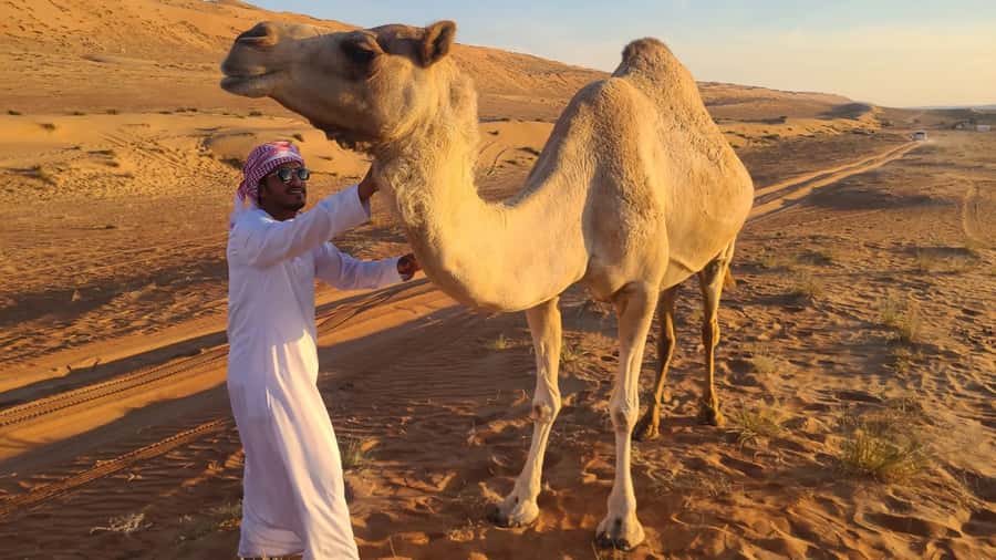 From Agadir: Sahara Desert Day Trip and Camel Ride - Sidi Bibi and Agadir stopovers: short, useful, and a bit shop-heavy