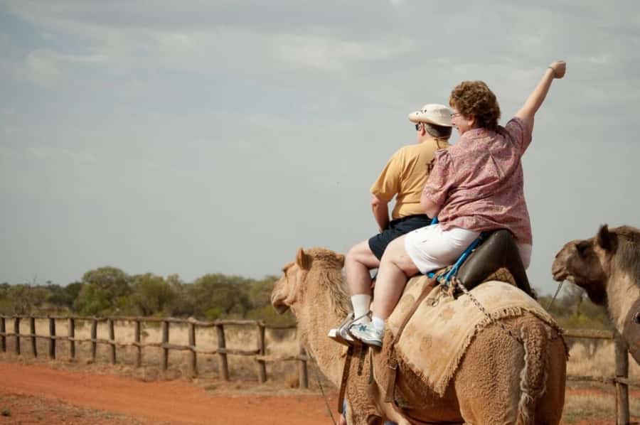 From Agadir: Souss River Camel Ride - Key Things That Make This Camel Ride Work