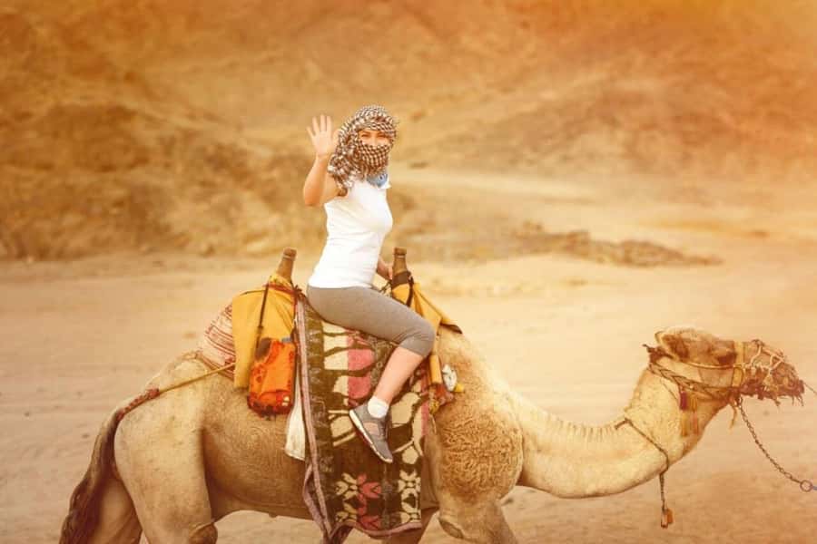 From Agadir: Souss River Camel Ride - From Agadir Pickup to Welcoming Stables