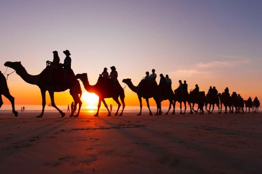 From Agadir: Souss River Camel Ride - Price and Value: Is $24 Worth It?