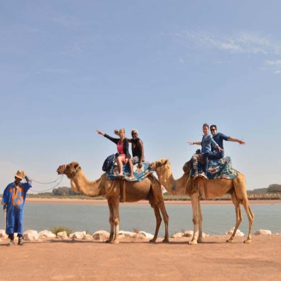 From Agadir: Souss River Camel Ride - Who Should Book This Camel Ride?