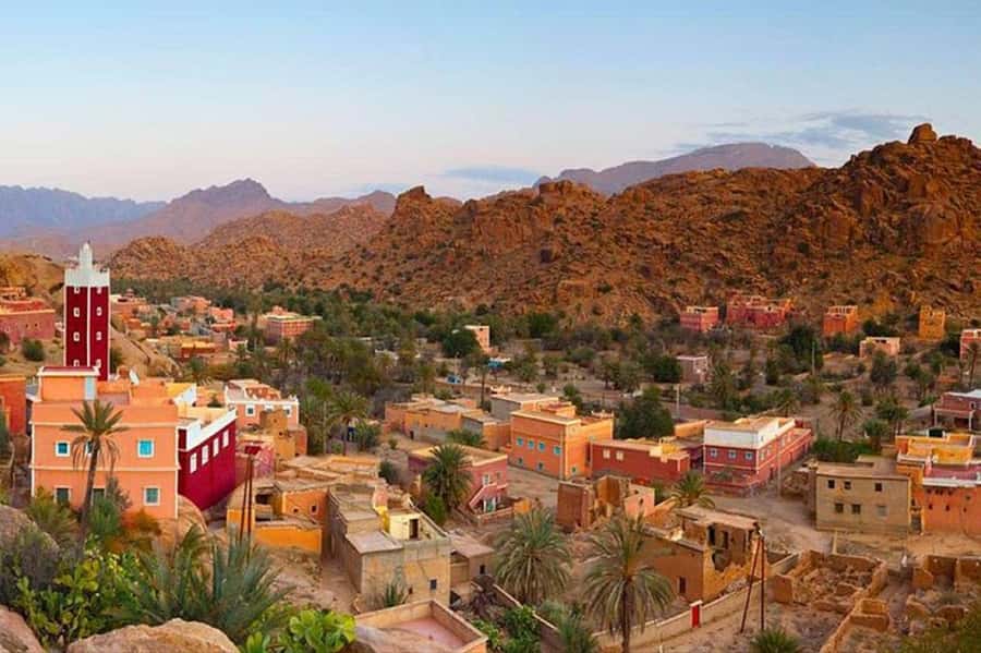 From Agadir: Tafraoute the Anti Atlas Day trip With Lunch - Tour Comfort, Group Flow, and Guide Languages