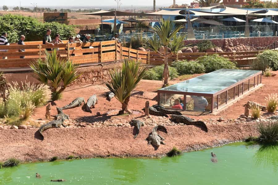 From Agadir/Taghazout: Buggy Safari Adventure & Moroccan Tea - Key highlights at a glance