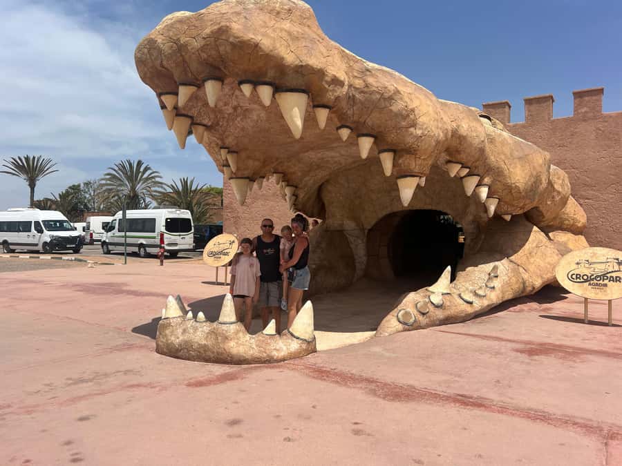 From Agadir/Taghazout: Buggy Safari Adventure & Moroccan Tea - The goat moment in argan trees: photos, timing, and what to watch for