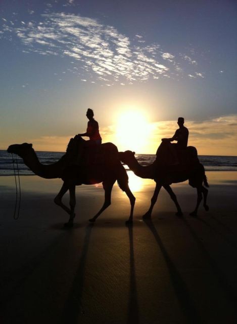 From Agadir/Taghazout: Buggy Safari Adventure & Moroccan Tea - Pace, rocks, and dust: the terrain reality check