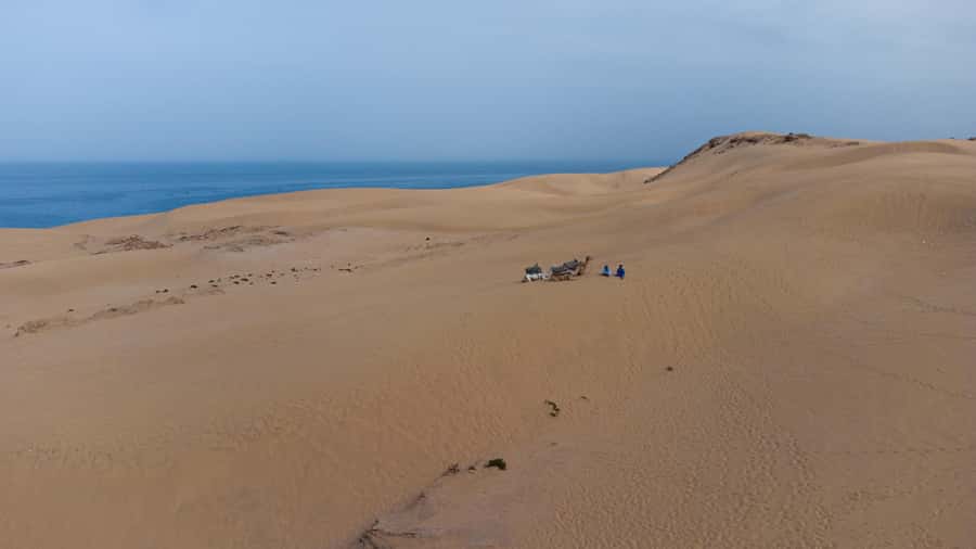 From Agadir/Taghazout: Sahara Sand Dunes with Transfer - Key Things You’ll Notice on This Dune Trip