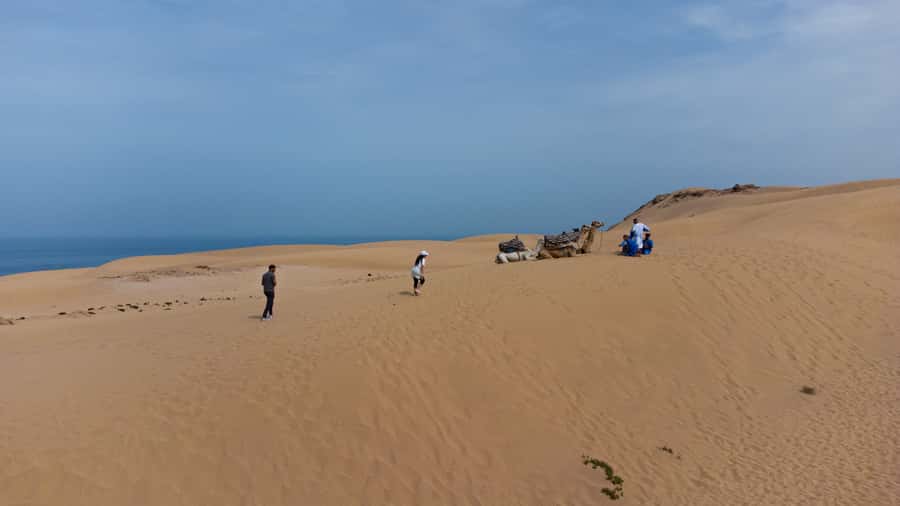 From Agadir/Taghazout: Sahara Sand Dunes with Transfer - Where the Dunes Surprise You: Big Sand Meets the Atlantic