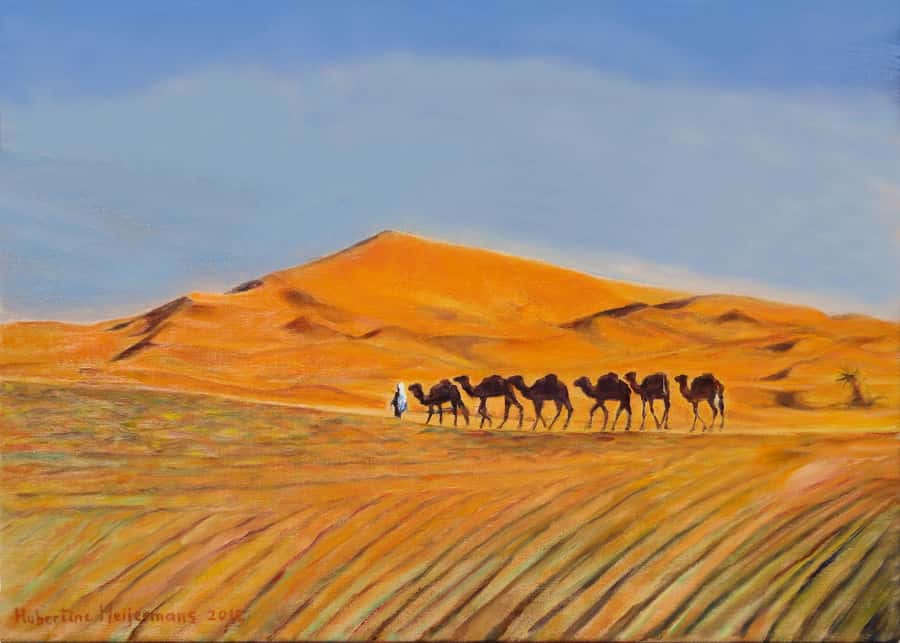 From Agadir/Taghazout: Sahara Sand Dunes with Transfer - Sandboarding, Camel Rides, and the Stuff Around the Car Park