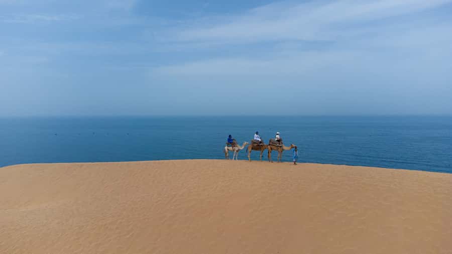 From Agadir/Taghazout: Sahara Sand Dunes with Transfer - The Guides: Friendly, Photo-Forward, and Good at Small Details