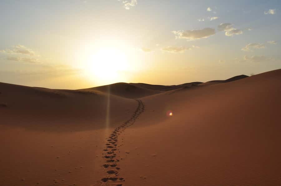 From Agadir/Taghazout: Sahara Sand Dunes with Transfer - Price and Value: Is $49 Worth It?