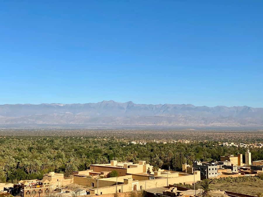 From Agadir: Taroudant and Tiout Day Tour with Lunch - Key highlights worth your time