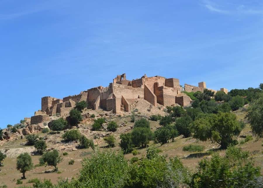 From Agadir: Taroudant & Tiout guided excursion - Tiout Oasis: Berber Village Calm and a Meal You’ll Actually Remember