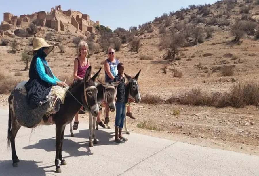 From Agadir: Taroudant & Tiout guided excursion - Guides, Languages, and What Good Communication Looks Like