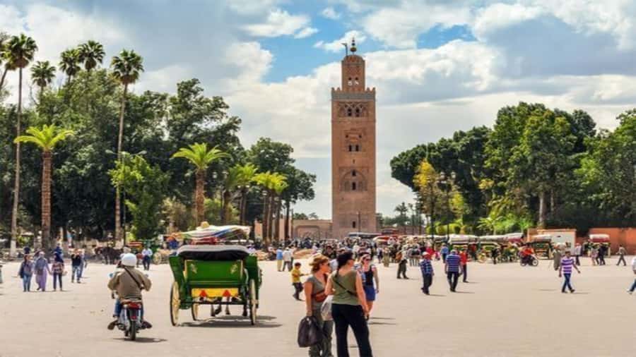 From Casablanca: Day Trip to Marrakech with Camel Ride - Jemaa el-Fnaa at Sunset and Souk Semmarine Shopping Time