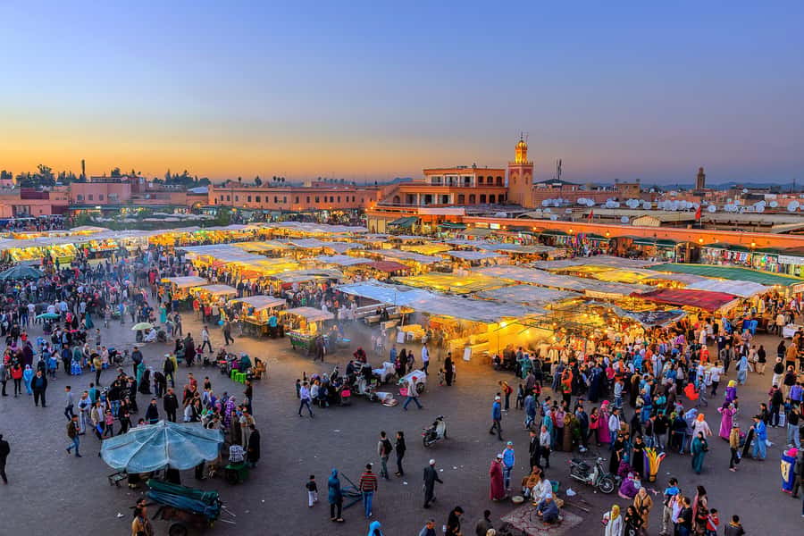 From Casablanca: Marrakech Guided Day Trip with Camel Ride - Timing, guide style, and how to work with a group of 15