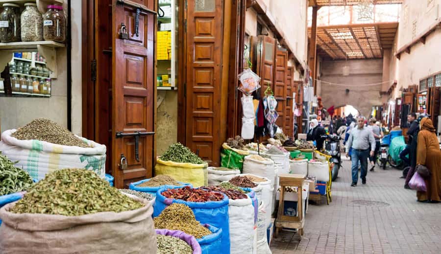 From Casablanca: Marrakech Guided Day Trip with Camel Ride - Price and logistics: what you pay for, what you still need to budget