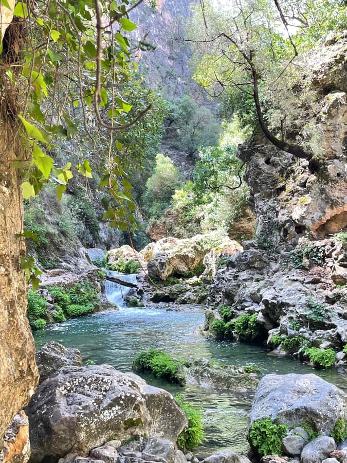 From Chefchaouen: Full-Day Trip to Akchour Waterfalls - Lunch by the falls: why the tagine stop feels like a bonus