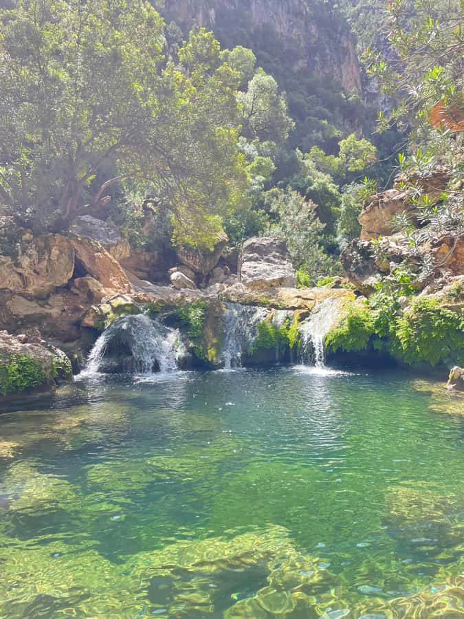 From Chefchaouen: Full-Day Trip to Akchour Waterfalls - Timing and pacing: how this day stays enjoyable